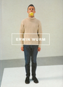 Erwin Wurm